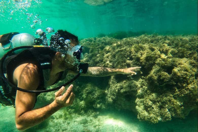 Descubra a Tranquilidade e Beleza de Paripueira com Saída de Maceió