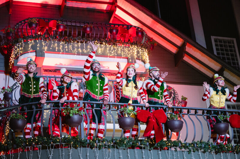 Bustour Illumination Show – O Natal em Movimento!