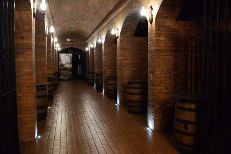 Excursão Cultural: São João Batista, Nova Trento e Brusque!