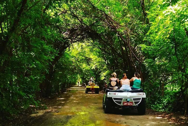 Exploração Completa de Buggy: De Maragogi a São Miguel dos Milagres!
