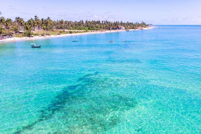 Excursão Privada a Maragogi: Descubra o Caribe Brasileiro!