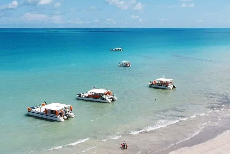 Explore o Paraíso Tropical de Maragogi em uma Incrível Excursão de Maceió