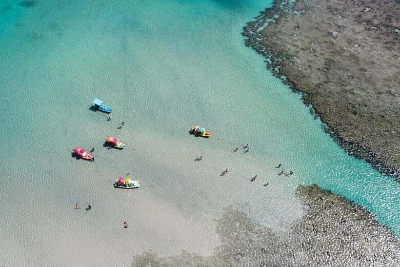 Excursão a São Miguel dos Milagres: Um Paraíso em Alagoas!