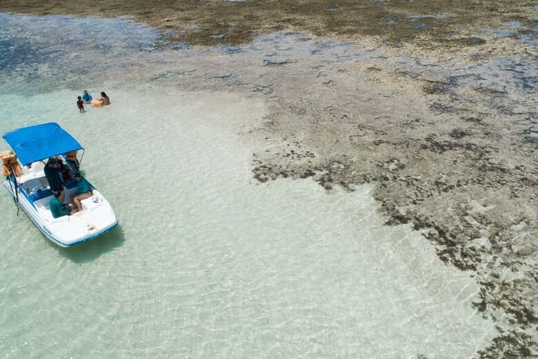 Explore a Beleza das Piscinas Naturais de Japaratinga em um Passeio de Barco!
