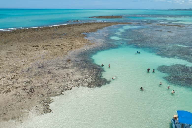 Descubra as Piscinas Naturais de Japaratinga com um Incrível Passeio de Barco!