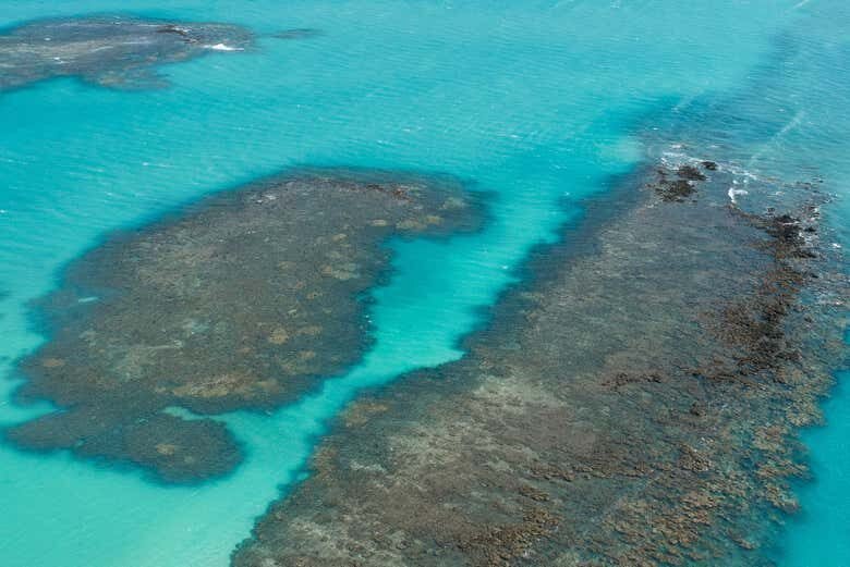 Passeio de Jangada a Motor na Croa de São Bento: Aventura e Tranquilidade em Maragogi!
