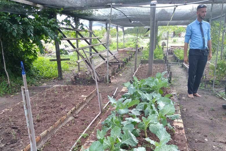 Vivência Ribeirinha no Tapajós: 1 ou 2 dias de cultura e natureza amazônica!