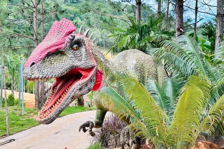 Uma Viagem Ao Mundo Dos Dinossauros: Aventura Jurássica Em Balneário Camboriú!