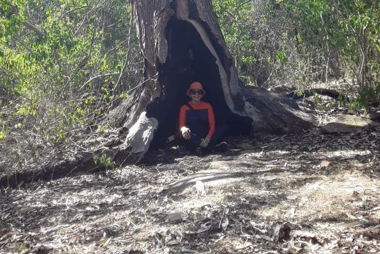 Exploração Imperdível: Excursão a Delmiro Gouveia Partindo de Maceió!