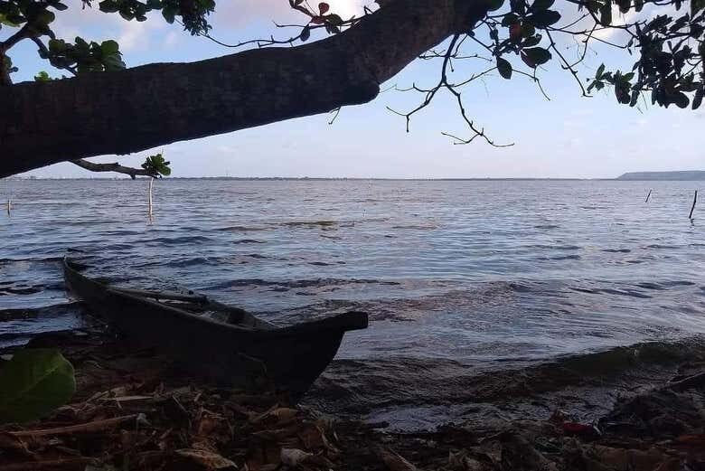 Explore as Belezas Naturais: Tour pelo Pontal da Barra e Lagoas Mundaú e Manguaba