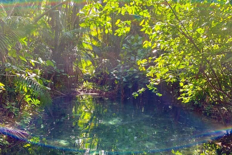 Descubra a História e a Natureza do Piauí nesta Excursão Única