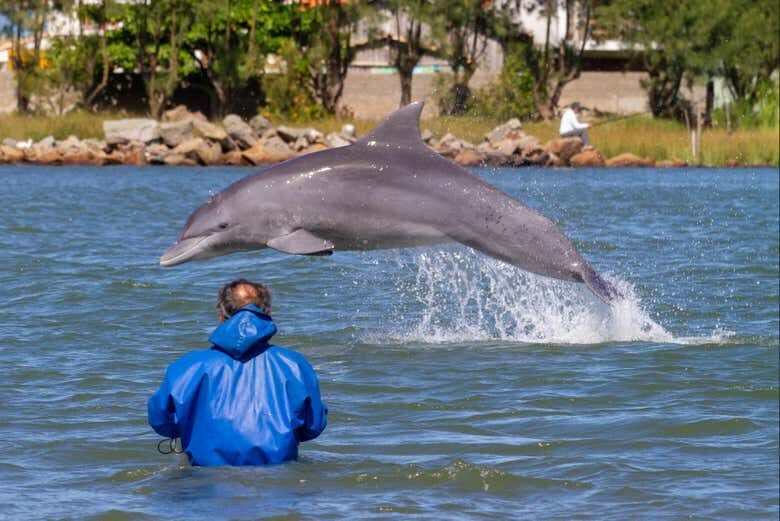 Excursão Histórica a Laguna: Descubra a Riqueza Cultural e Natural de Santa Catarina!