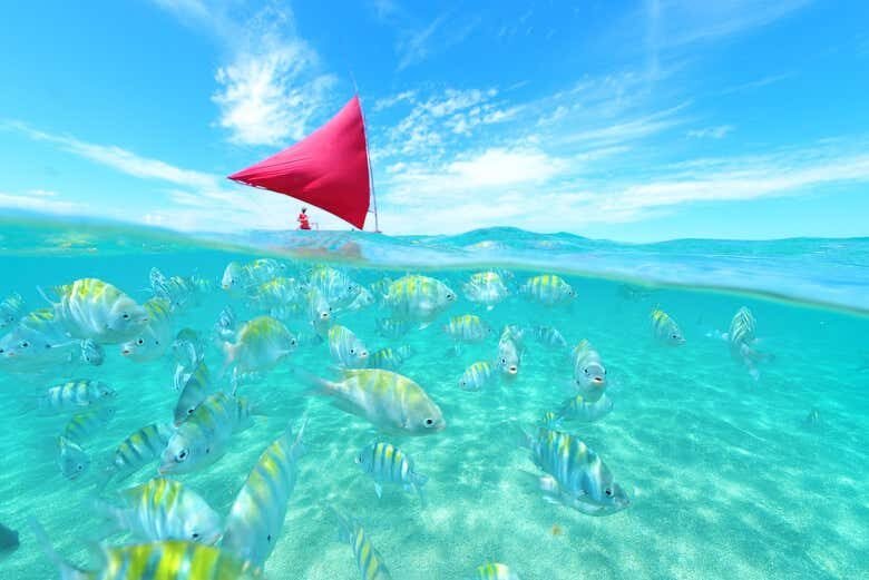 Descubra as Maravilhas de Porto de Galinhas com Saída de Maragogi!