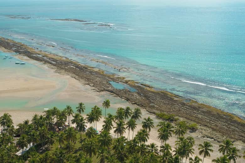 Descubra a Paradisíaca Praia dos Carneiros com Saída de Maragogi!