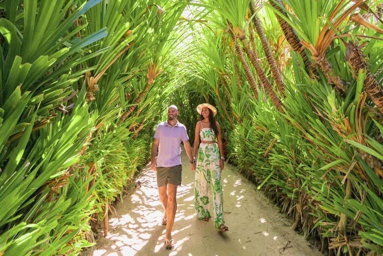 Descubra a Paradisíaca Praia dos Carneiros com Saída de Maragogi!