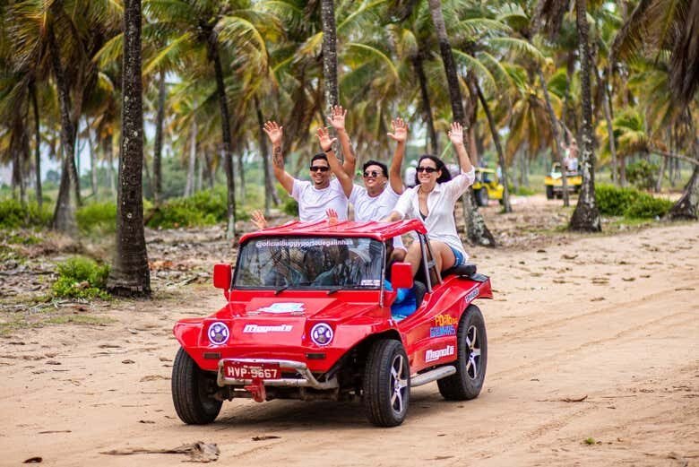 Descubra as Maravilhas de Porto de Galinhas com Saída de Maragogi!