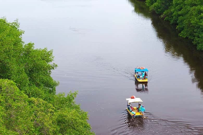 Excursão a São Miguel dos Milagres: Um Paraíso em Alagoas!