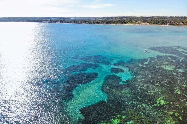 Excursão Privada a Maragogi: Descubra o Caribe Brasileiro!