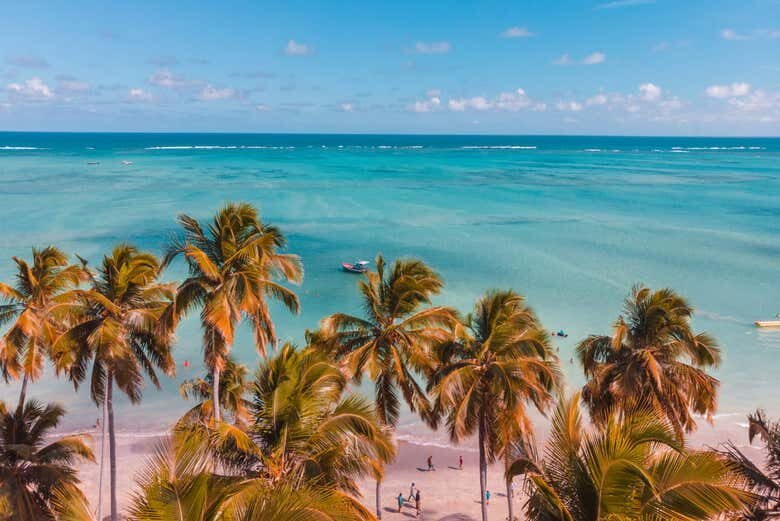 Excursão Privada a Maragogi: Descubra o Caribe Brasileiro!