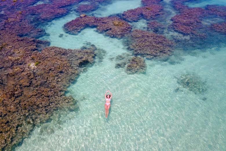 Explore as Maravilhas Subaquáticas: Passeio de Lancha pelas Piscinas Naturais de Maragogi!