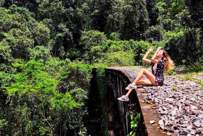 Nos trilhos da história: Trilha do Trem da Mata Atlântica em Angra!