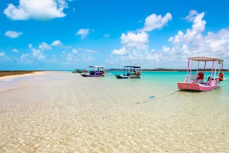 Passeio de Jangada a Motor na Croa de São Bento: Aventura e Tranquilidade em Maragogi!