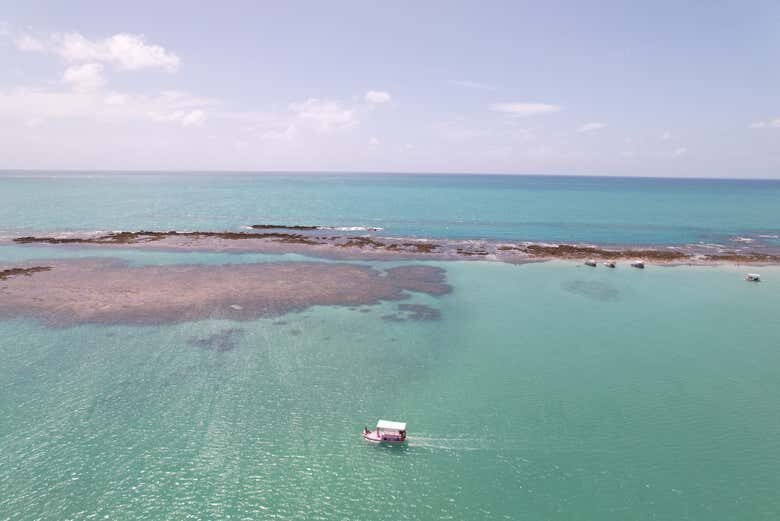 Passeio de Jangada a Motor na Croa de São Bento: Aventura e Tranquilidade em Maragogi!
