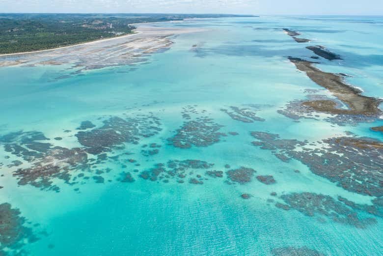 Explore a Beleza das Piscinas Naturais de Japaratinga em um Passeio de Barco!