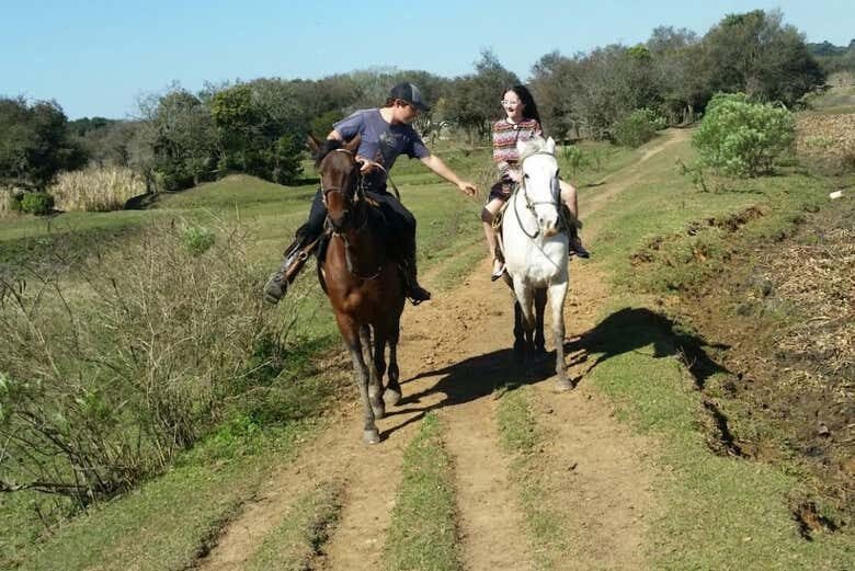 Aventura Animal em Curitiba: Passeio a Cavalo + Visita ao Zoológico!