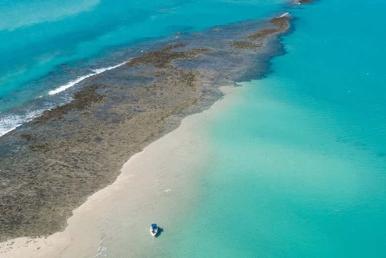 Passeio de Jangada a Motor na Croa de São Bento: Aventura e Tranquilidade em Maragogi!