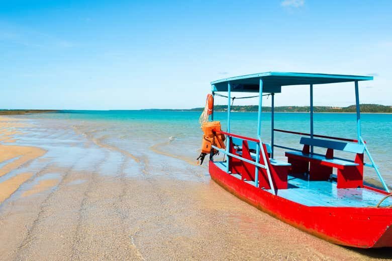 Passeio de Jangada a Motor na Croa de São Bento: Aventura e Tranquilidade em Maragogi!