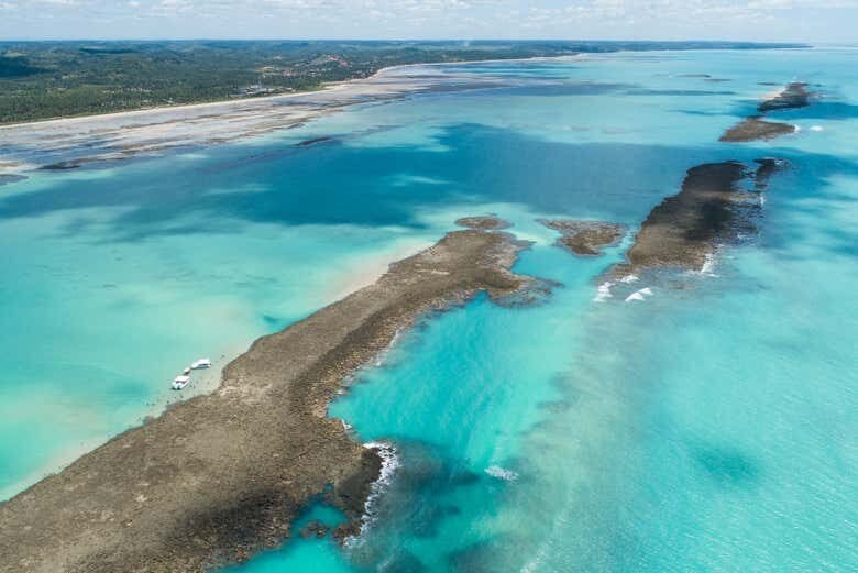 Explore a Beleza das Piscinas Naturais de Japaratinga em um Passeio de Barco!