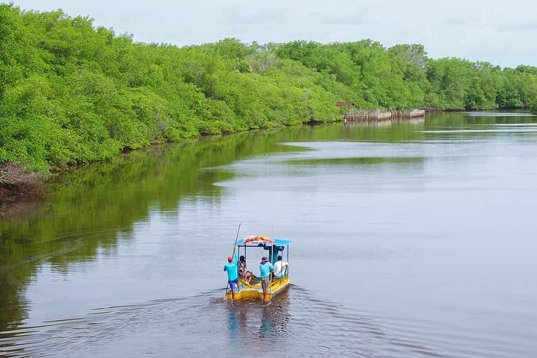 Excursão a São Miguel dos Milagres: Um Paraíso em Alagoas!