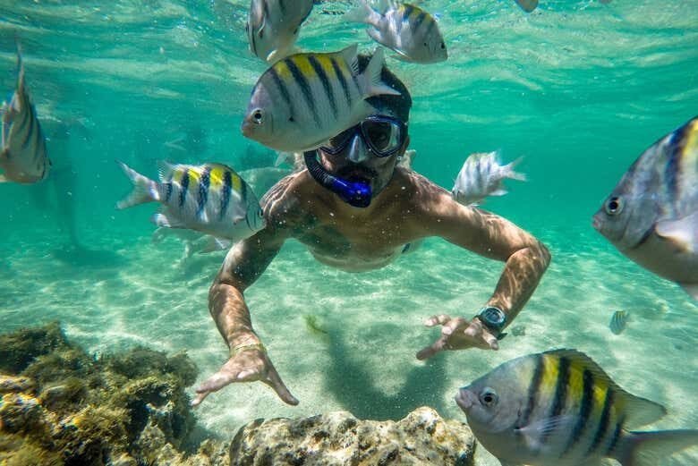 Descubra a Tranquilidade e Beleza de Paripueira com Saída de Maceió