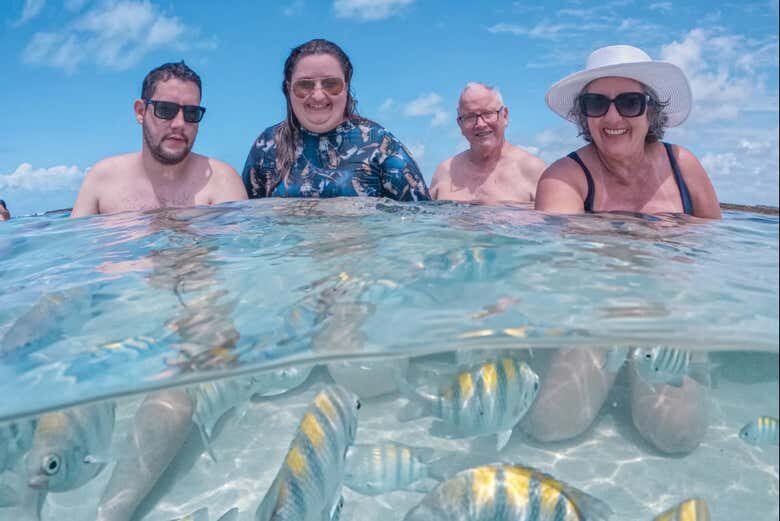 Explore as Maravilhas Subaquáticas: Passeio de Lancha pelas Piscinas Naturais de Maragogi!