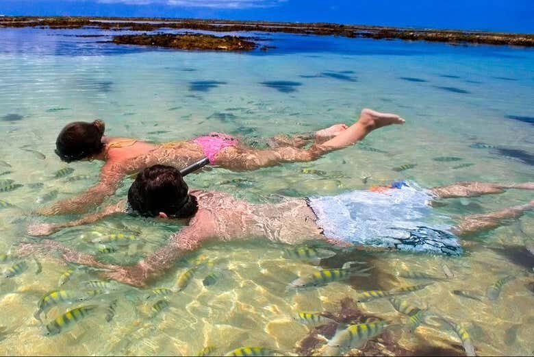 Descubra a Tranquilidade e Beleza de Paripueira com Saída de Maceió