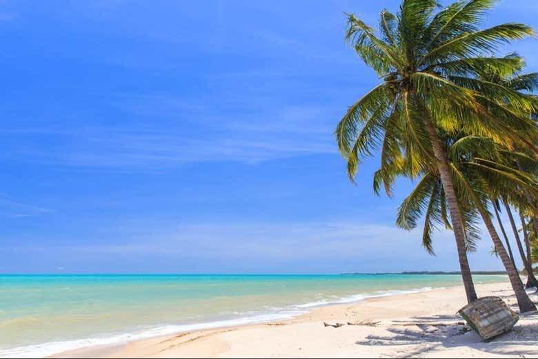 Descubra as Belezas da Praia de Ipioca com um Tour Inesquecível!