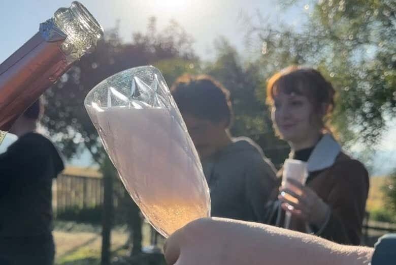 Voo de Balão ao Amanhecer em Campo Largo: Uma Aventura nas Alturas!