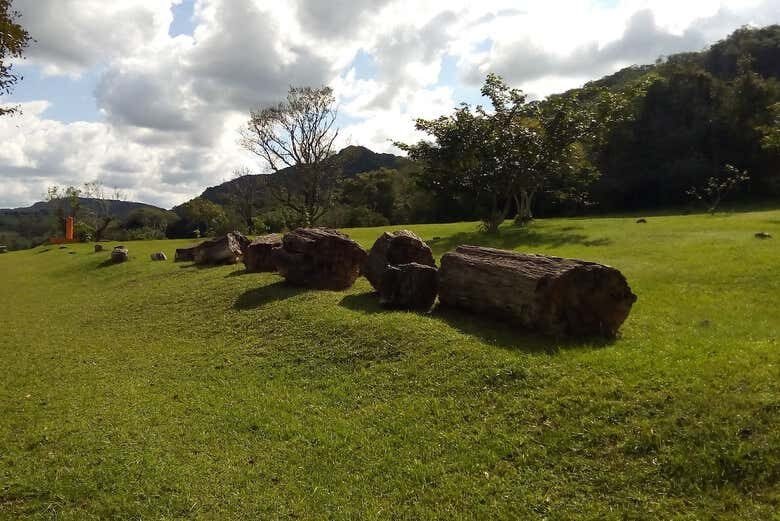 Tour Histórico e Paleontológico: Santa Maria e Mata em um Dia!