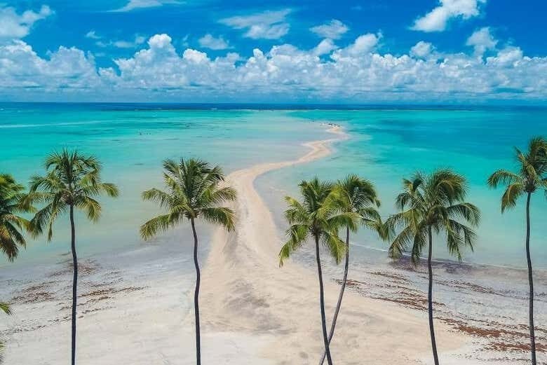 Explore Maragogi de Buggy: Uma Aventura Incrível pelo Caribe Brasileiro!