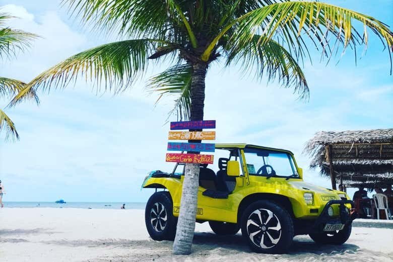 Explore o Litoral Norte da Paraíba com um Passeio de Buggy Incrível!