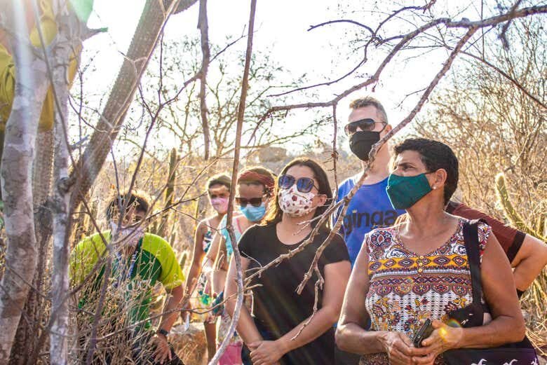 Excursão Privada a Cabaceiras e ao Lajedo de Pai Mateus: Descubra a 'Roliúde' Nordestina!