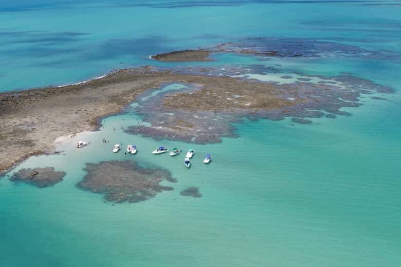 Descubra as Piscinas Naturais de Japaratinga com um Incrível Passeio de Barco!