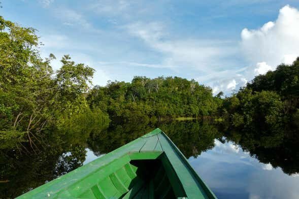 Amazônia Viva: Tour pela Enseada do Amorim e Igapós Amazônicos!