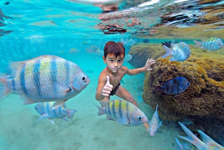 Descubra as Maravilhas de Porto de Galinhas com Saída de Maragogi!