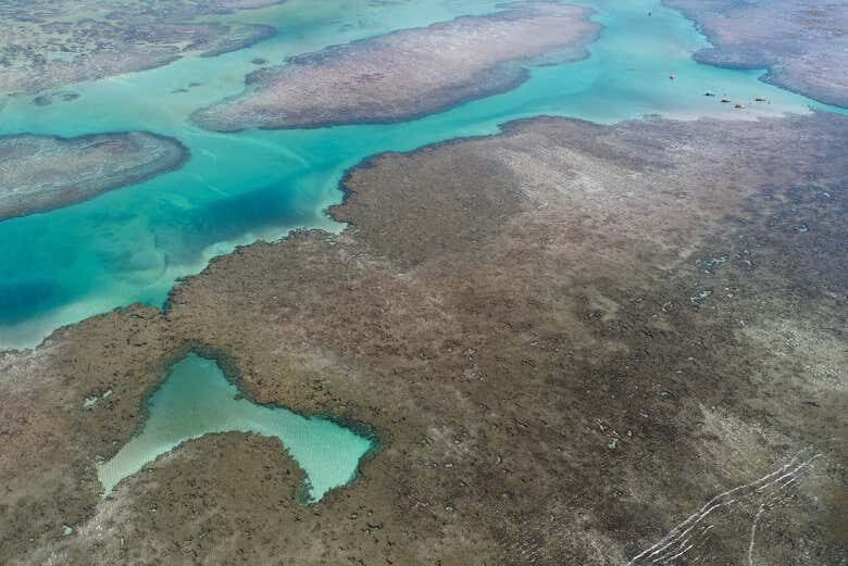 Excursão a São Miguel dos Milagres: Um Paraíso em Alagoas!