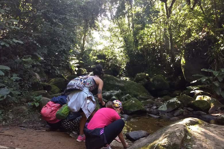 Exploração da Trilha da Pedra Branca em Garopaba!