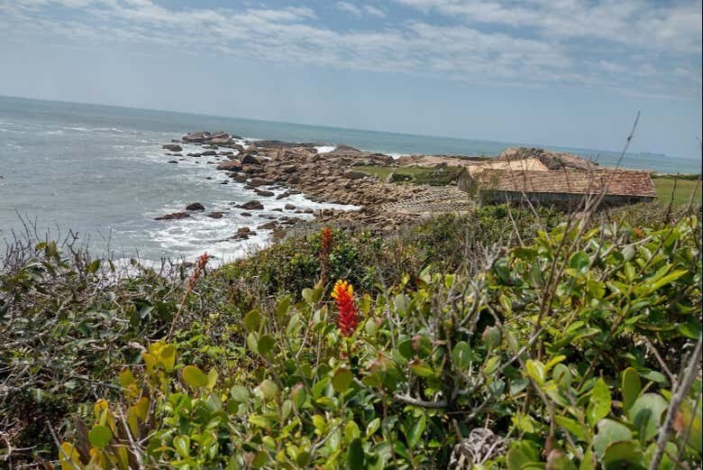 Aventura Imperdível: Trilha entre a Praia do Rosa e a Praia da Ferrugem!