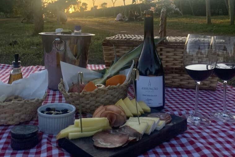 Experiência Enogastronômica na Vinícola Assunção com Piquenique Delicioso em Família!