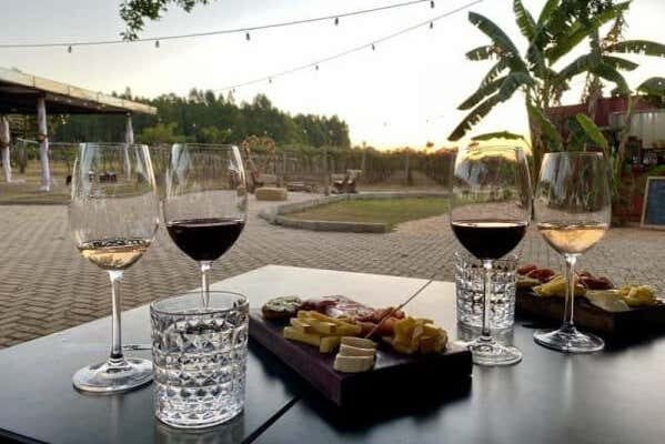 Experiência Enogastronômica na Vinícola Assunção com Piquenique Delicioso em Família!